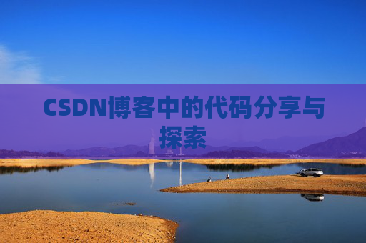 CSDN博客中的代码分享与探索